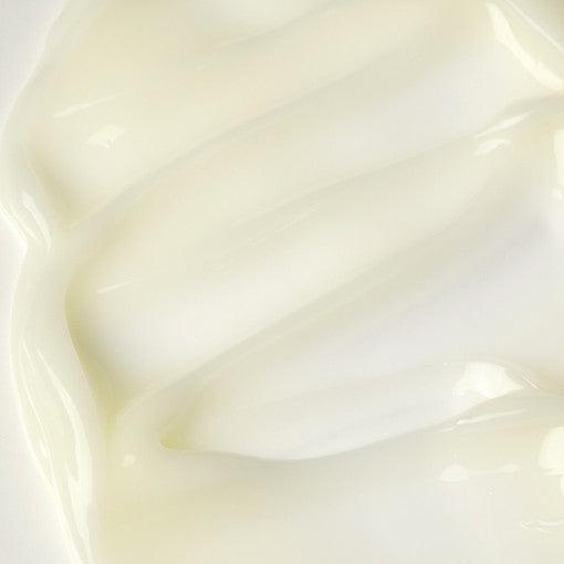 PAUL MEDISON STEM CELL ALL IN ONE SKIN DETOX CREAM 100ml Moisturizer Cream PAUL MEDISON