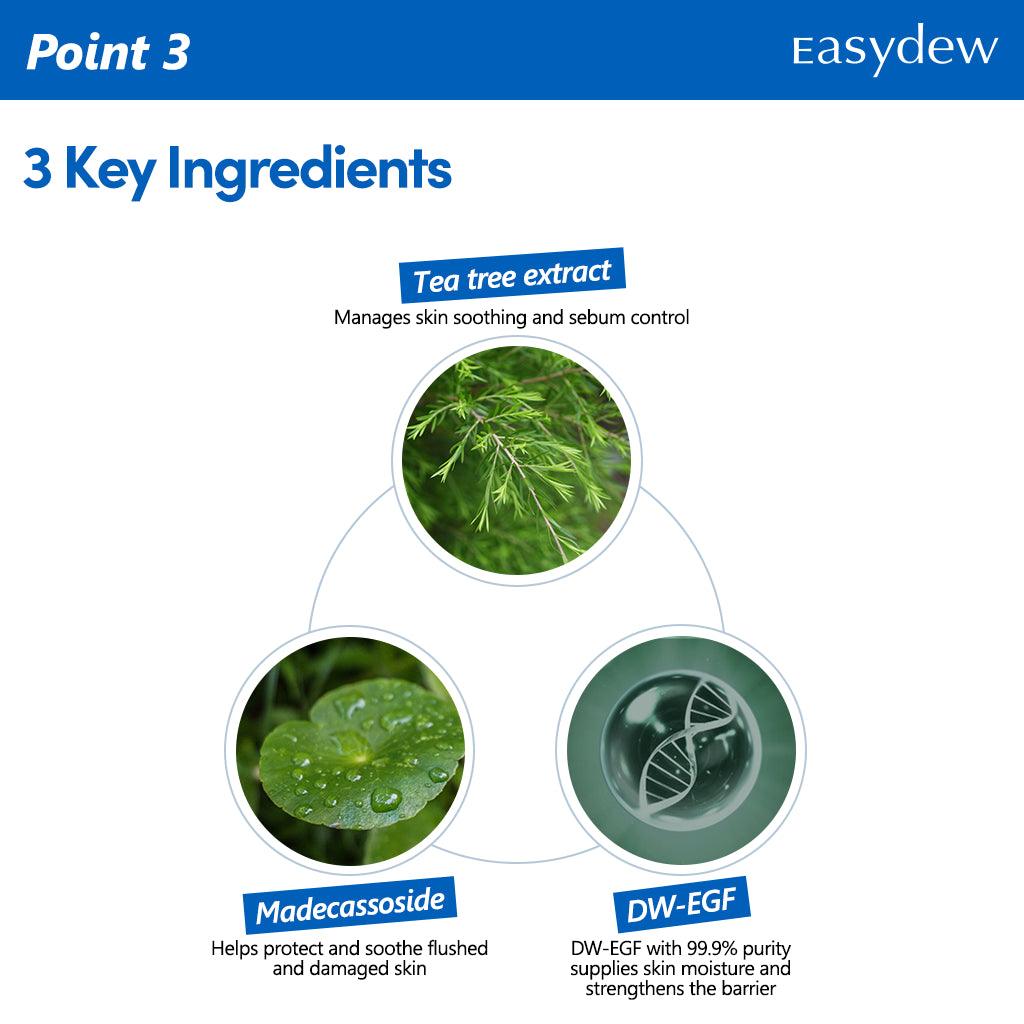 Easydew Acne Clear Needle Patch 4ea-thekimyoung.com