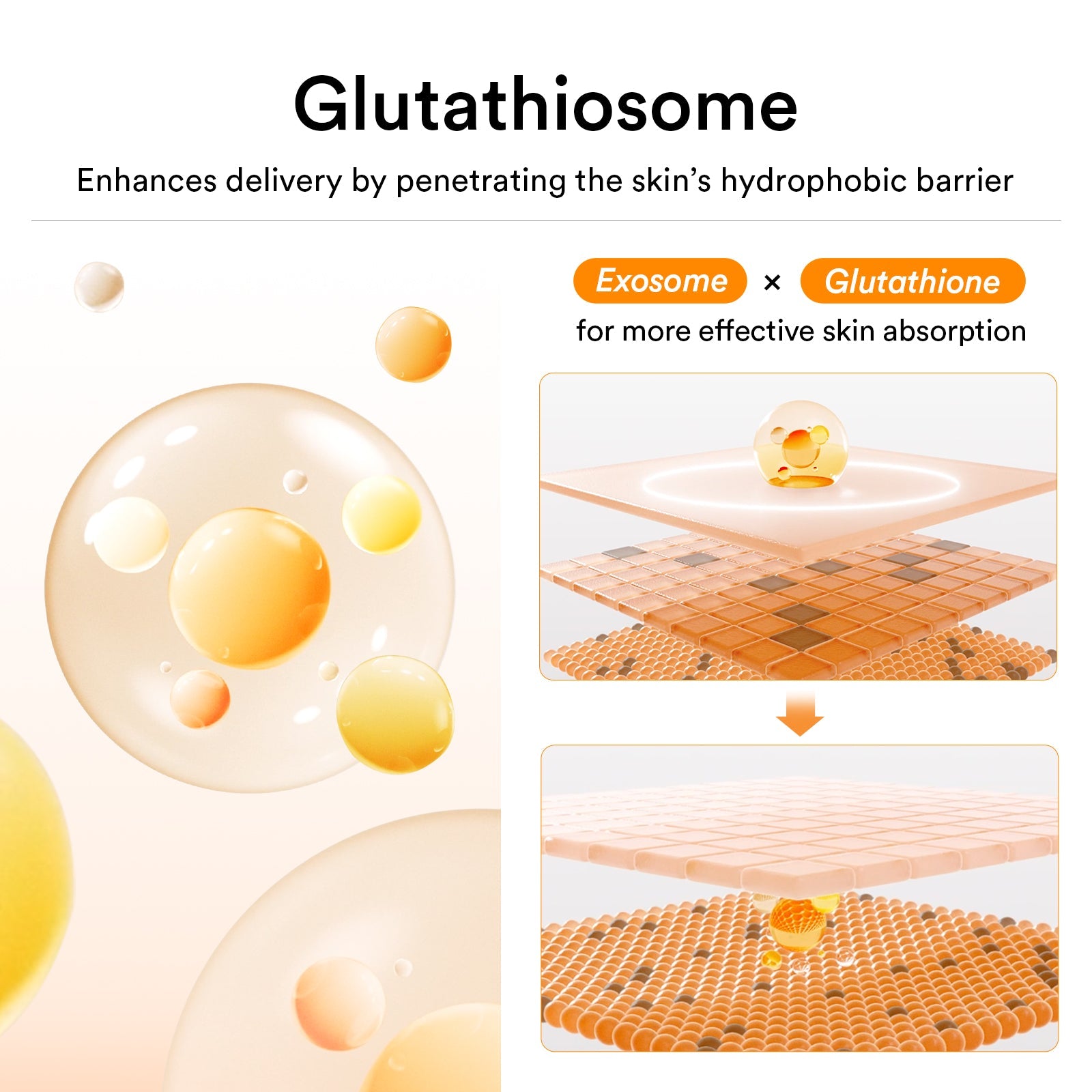Abib - Glutathiosome cream Vita tube (75ml)-thekimyoung.com